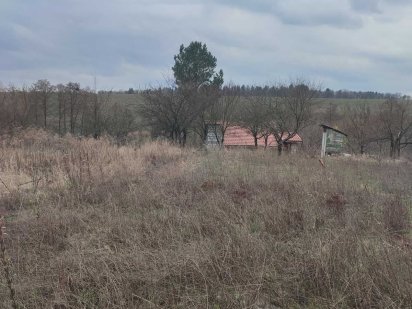 Музычи, Киевская обл. участок 0.1006 га под дачное строительство