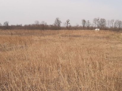 Участок земли 15 соток, с.Музычи, Киево-Святошинский район Музичі