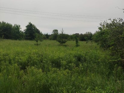 Продам участок в селе Новом, 45 соток