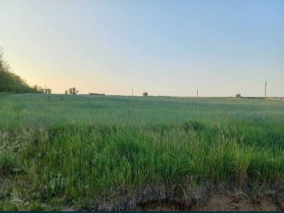 Комерційна нерухомість. Продаж 1.25га.  Київська обл. Данилівка