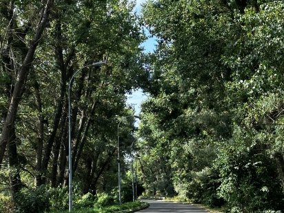 Ділянка с. Безрадичі обмін на автомобіль.