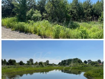 Продам Земельну Ділянку 10сотих,ЛІС,ОЗЕРО,середСОСЕН,закрита територія