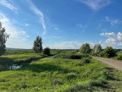 Продаются земельные участки в Новых Безрадичах