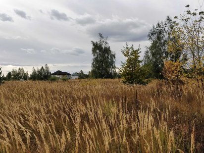 Земля 30 км від Києва, 9,5 тис.грн сотка. 23,1 сотки. Осикове Осикове