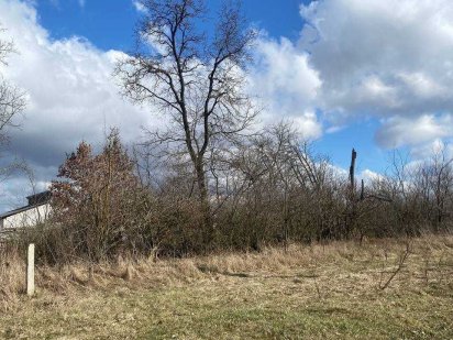 Земельна ділянка, 10 соток, с.Петропавліське