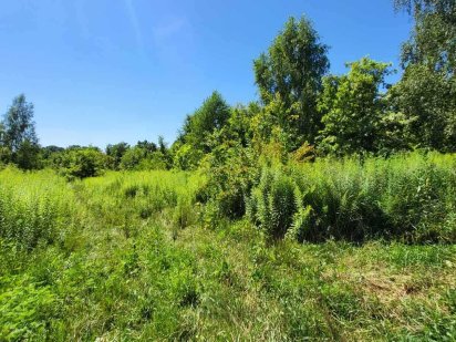 Ділянка Петропавлівське (Петрівське)  Бориспільський р-н 0.15 га