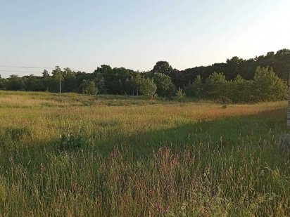 Земельна ділянка, с. Петрушки Петрушки