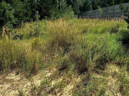 ПЕТРУШКИ! 15км до Києва (20хв до м.Житомирська) 15 соток під забудову!