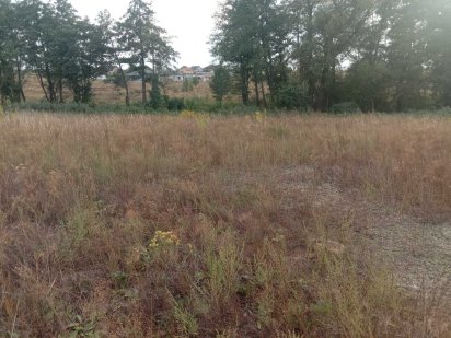 Земельна ділянка Петрушки