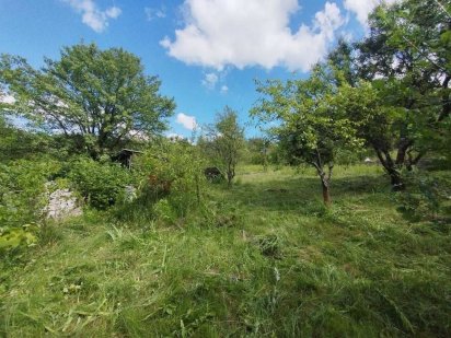 Продаж земельної ділянки 10 соток, с.Петрушки