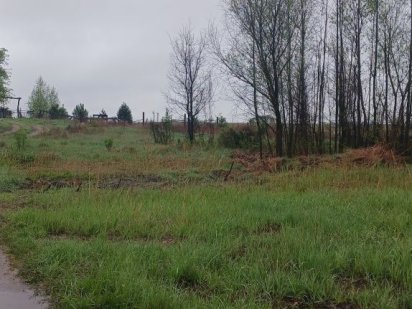 Продам участок в с. Петрушки Петрушки