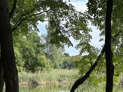 Петрушки на березі озера Чорне, під котеджне містечко