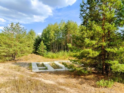 Ділянка 10 сот з соснами в елітному районі! Гореничі