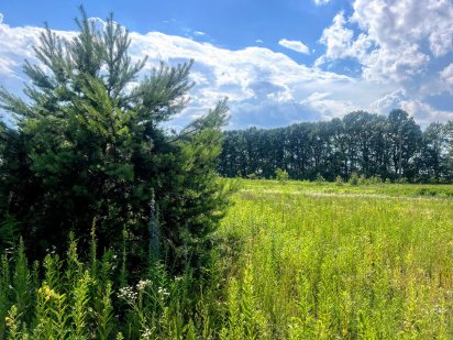 Продаж ідеальної ділянки в с. Петрушки / 10 сот