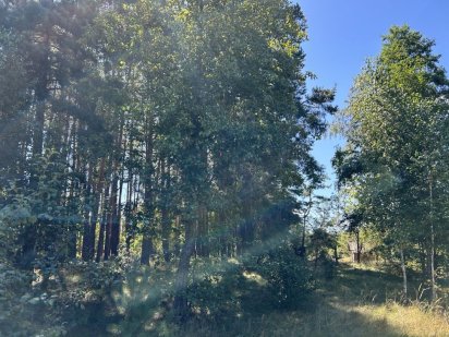 Земельна ділянка. 24сотки. Пилиповичі.