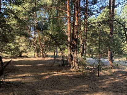 Ділянка 6 соток.с.Пилиповичі.