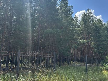 Земля під будівництво! В лісі! Ідеально під котедж! Пилиповичі