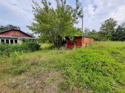 Без %. Продаж 21 сотки біля хвойного лісу, с. Плесецьке Плесецьке