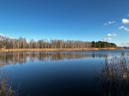 Ділянка в Кончі Заспі. Козин (Участок в Конче-Заспе)
