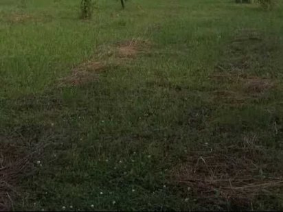 Земельный участок под застройку в центре села Плесецьке