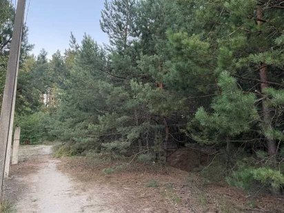 Земельна ділянка під будівництво в лісовій зоні