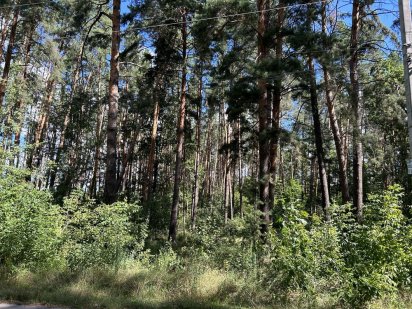 Земельні ділянки неподалік Києва.  25 соток.