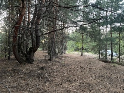 Земельна ділянка в Пилиповичах! Пилиповичі