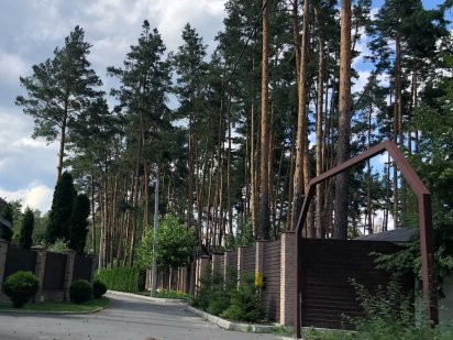 Плюти, продаж 50 соток в сосновому лісі / напрямок Конче Заспи