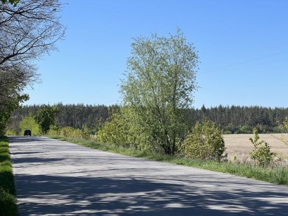 Продаж фасадного ділянки 3,6га с.Плесецьке Плесецьке