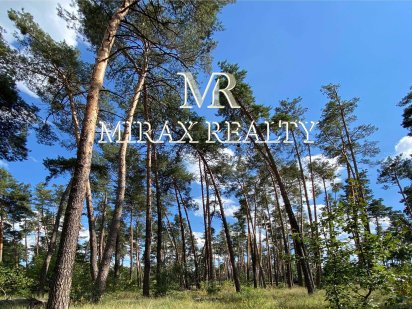 Продажа элитного участка 50 соток сосновый лес Плюты Конча-Заспа