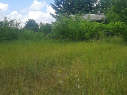 Участок Плюти 10 соток «Луговий»