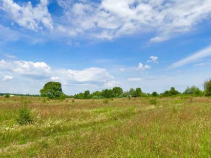 Участок на берегу Десны, 10 соток, выход к воде, с. Погребы
