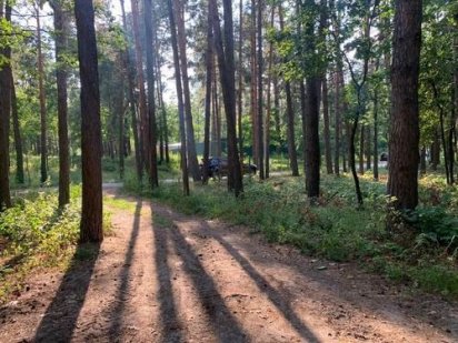 Смт. Плюты - участок 9 Га - под строительство коттеджного городка