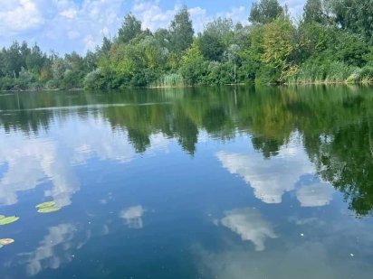 БЕЗ% Продаж земельної ділянки 1 га Плюти Обухівський район Козинка Плюты