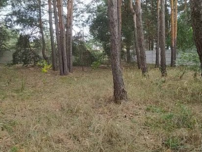 С. Проців продаю ділянку 7 та 12 соток Процев