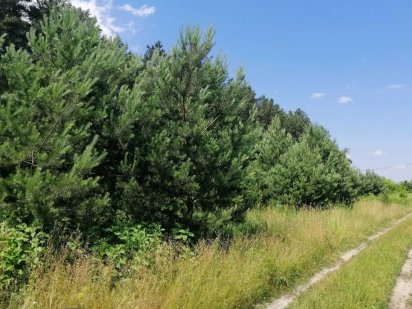 Продаж ділянки - 1ГА. Мальовниче місце. Лес. Озеро. Процев, Жеребятин