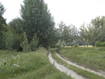 12 ст. Погреби Броварського р-н перша лінія до р. Десна Погреби