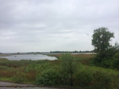 5,76 га біля Дніпра, с. Проців, Бориспільский р-н, без % Проців