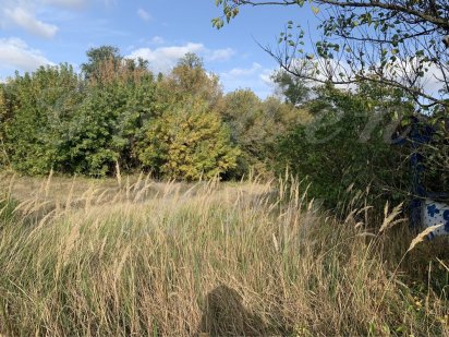 Продам земельный участок 21 сотых, Лес, Река, село Процев