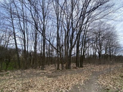 Участок 25сот с.Путровка  вул.сонячна Путровка