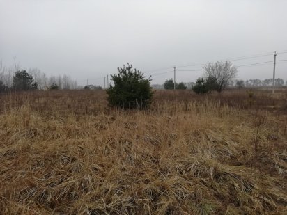 Продам земельну ділянку Путрівка Фастівський район.