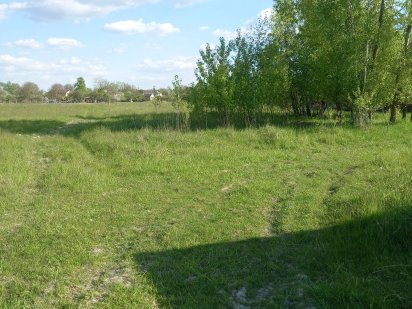 Продаж земельної ділянки в с. Путрівка