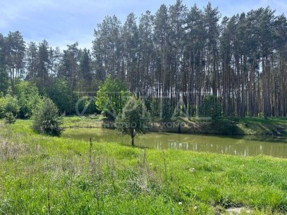 Продажа / Земля под инд. строительство / Процев / 25 м2