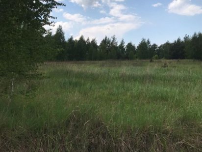 Земельна ділянка 0.1Га Рожівка