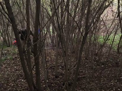 Земельна ділянка Пухівка