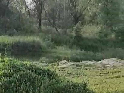 Неймовірно гарна пропозиція продажу ділянки в Пухівці