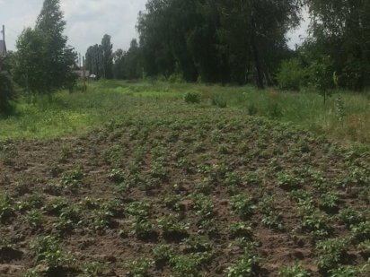 10 соток в садовом кооперативе прилесье, с. Богдановка Рожевка