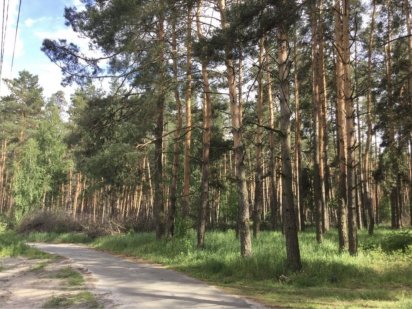 Продаж ділянки земля 12 сот Рожівка Рожевка