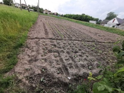 Ціну знижено 0,1726 га для забудови с.Пухівка,15 хв Києва, нова дорога Пуховка