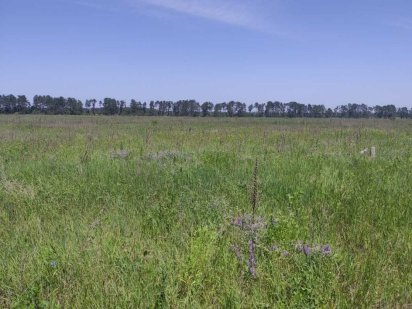 Продам участок під забудову(15сот.). Рожевка